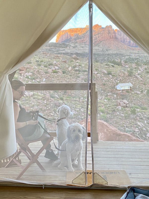 tent with denise and two dogs
